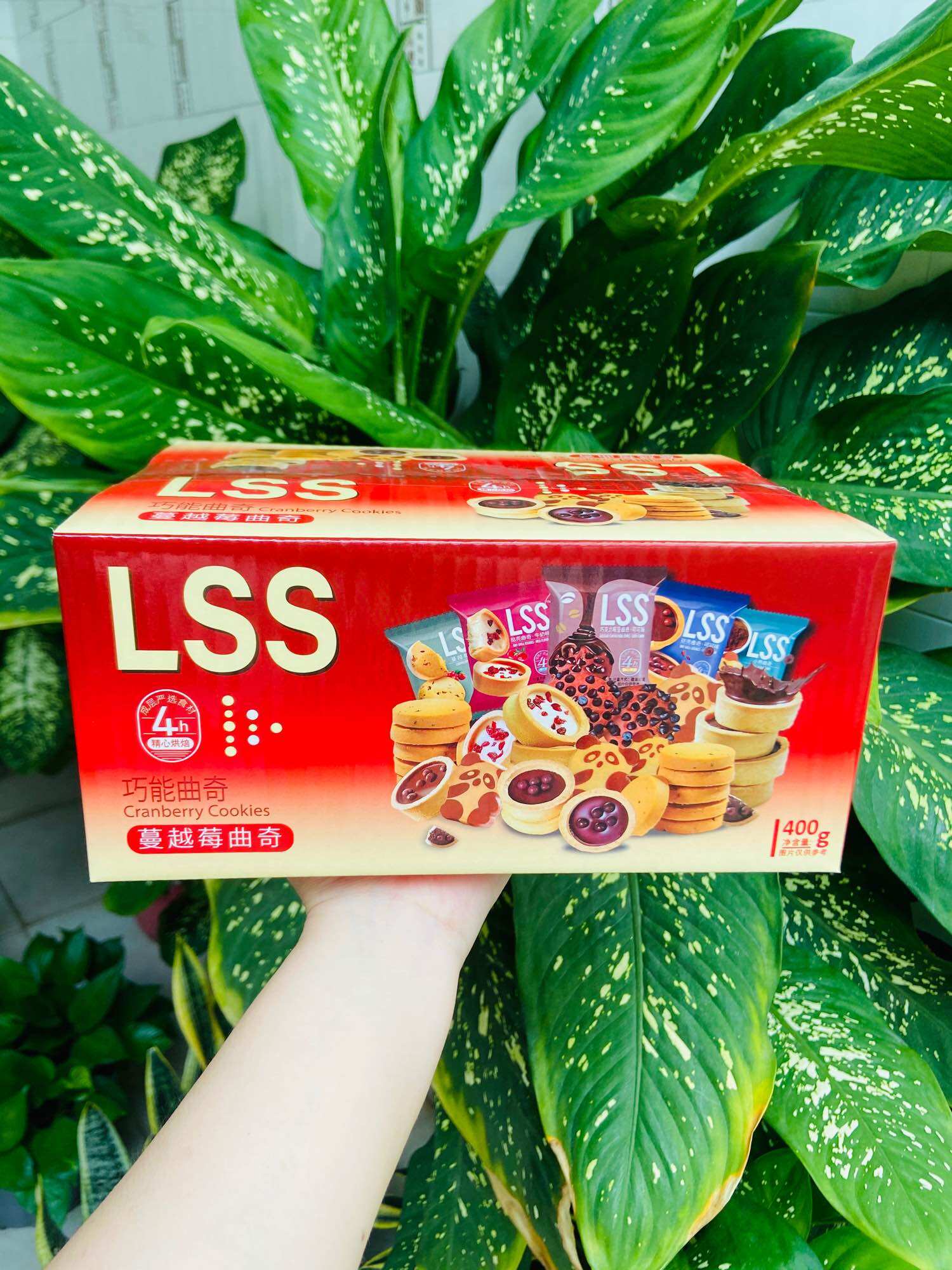 [ HỘP 500G - CHỌN VỊ ] BÁNH QUY CHOCOLATE LSS CHÍNH HÃNG MIX 5 VỊ SIÊU NGON,SIÊU XINH XẮN