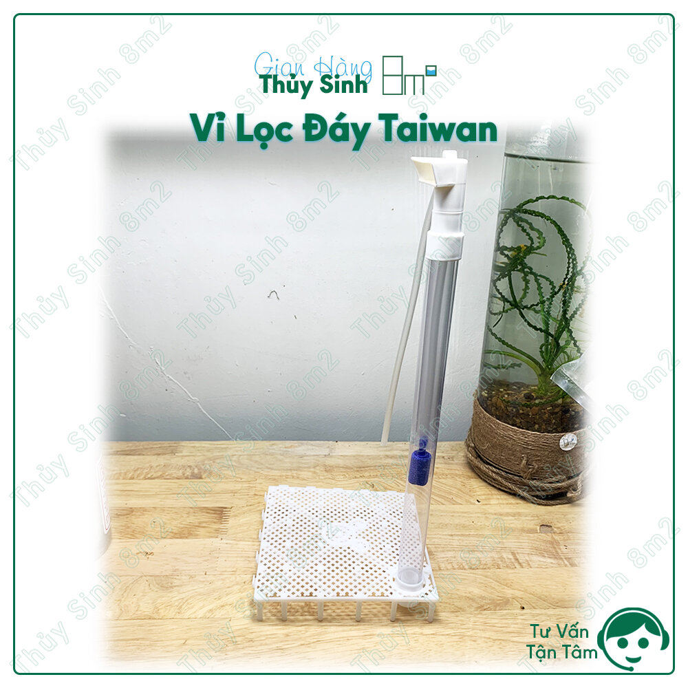 Vỉ lọc đáy taiwan, lọc cho hồ tép cảnh, cá guppy | 8m2