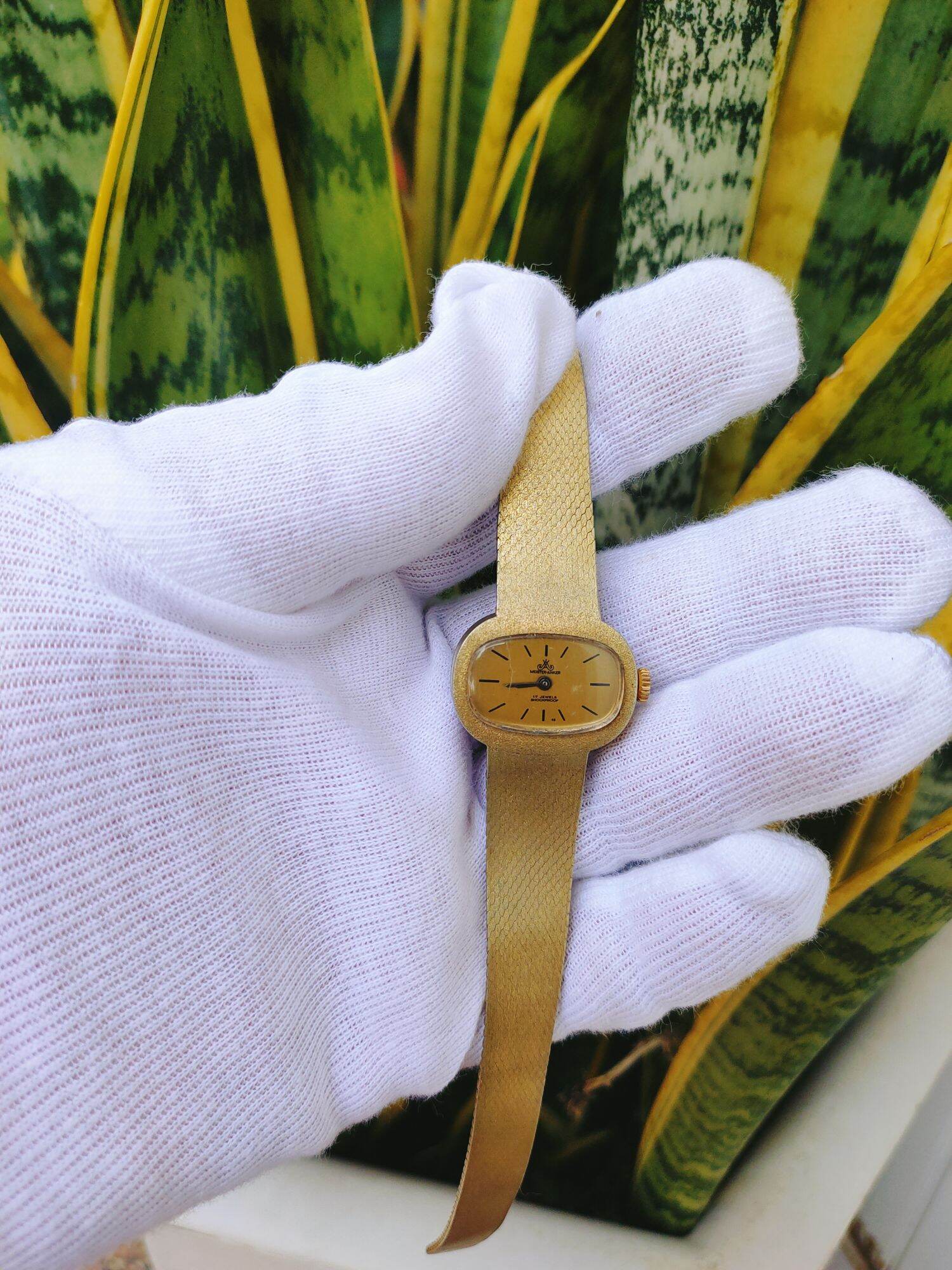 Đồng hồ nữ cơ cót Thụy sĩ, bọc vàng toàn thân, size 26mm, dây khóa zin thumbnail