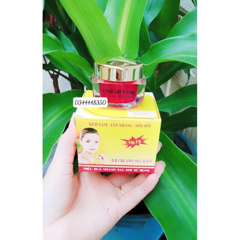 Kem nám linh chi vàng 15g