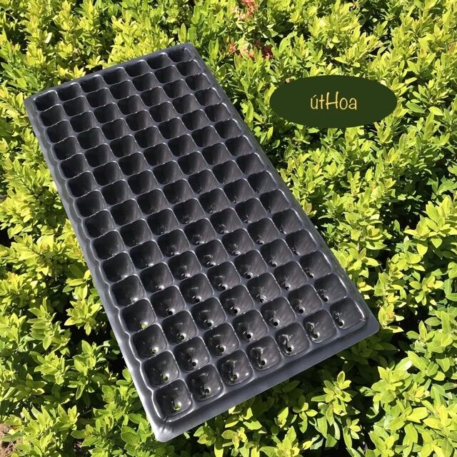 (Siêu bền chắc) Khay ươm hạt 32,50,72,105,200 lỗ