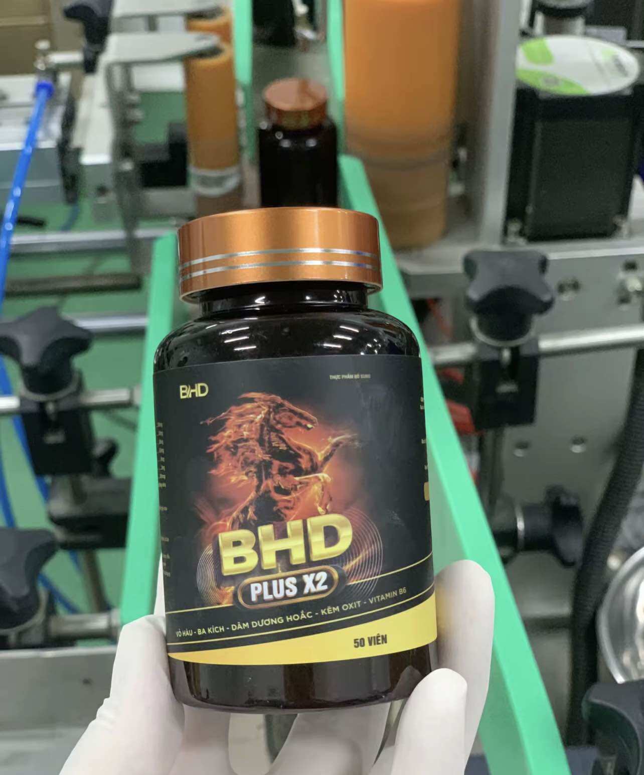 Bổ hoàn dương plus cao cấp