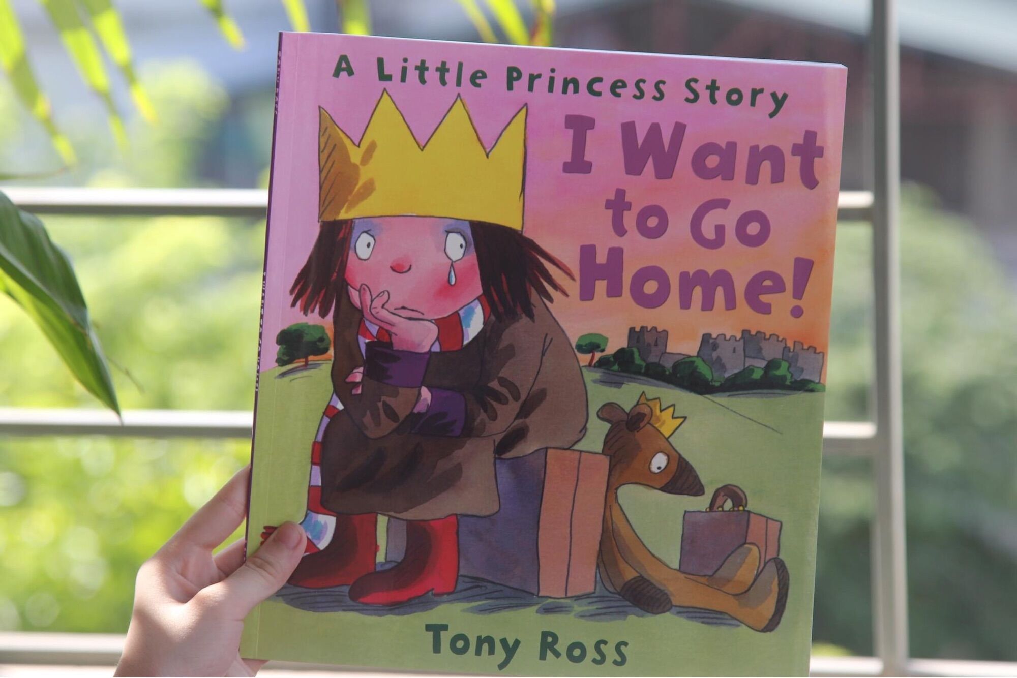 A Little Princess story - 10q