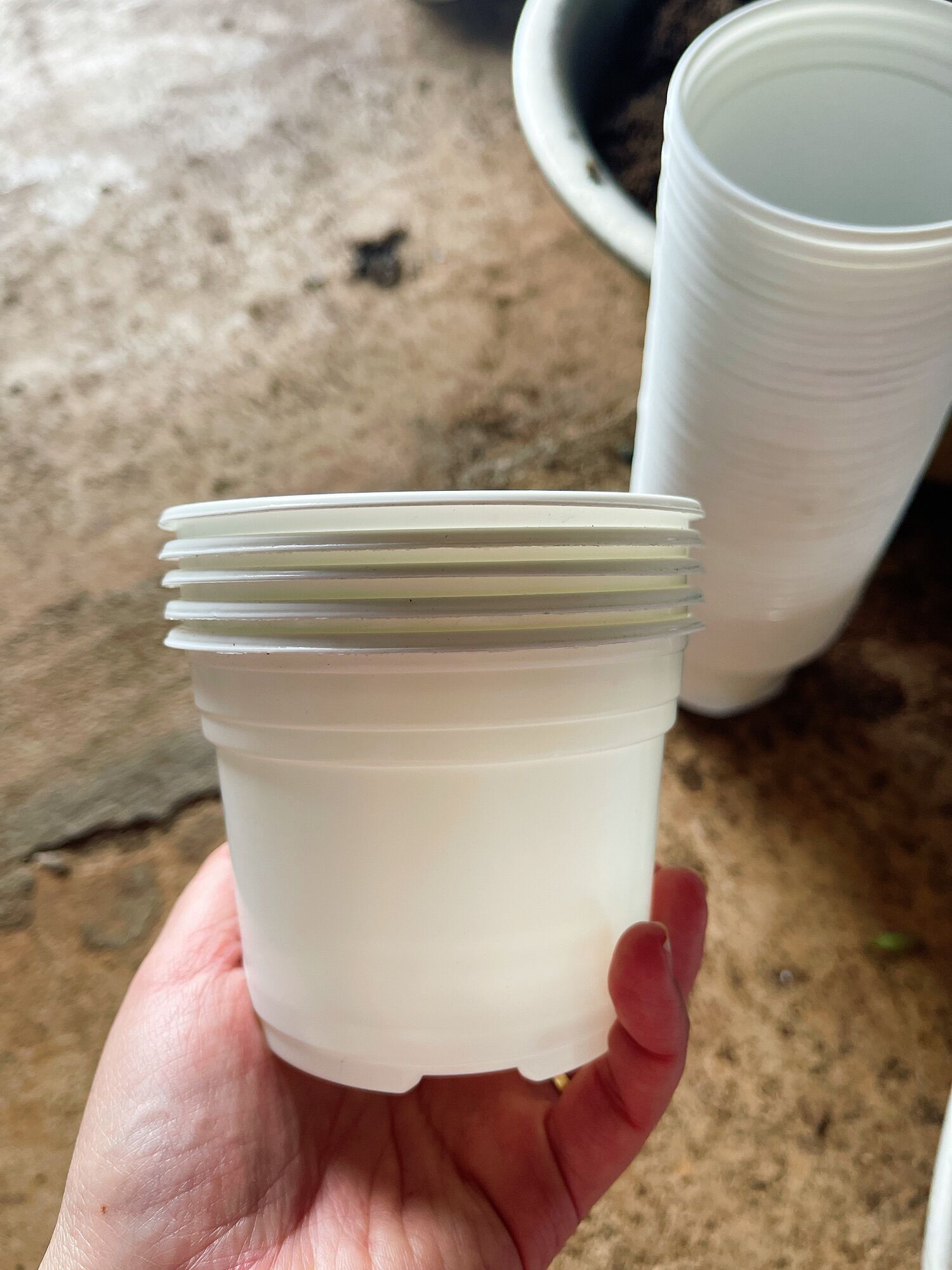 Chậu nhựa trồng sen đá 105x80mm