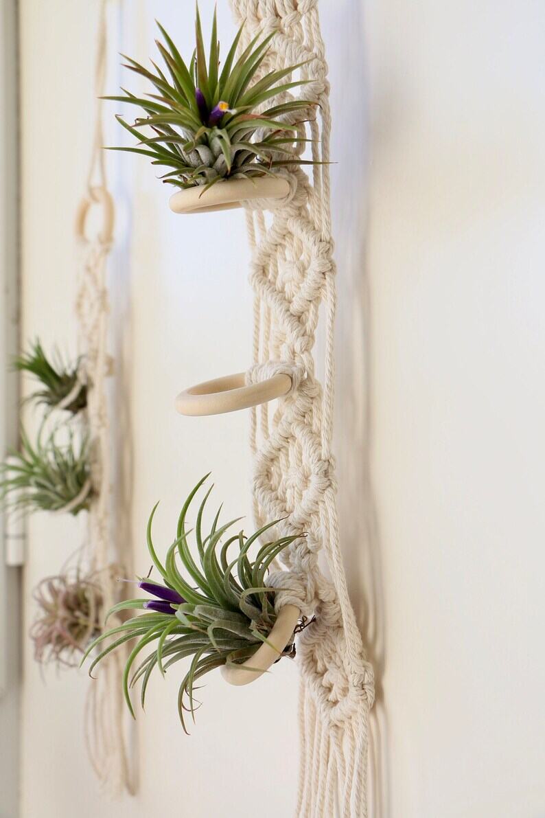 dây tết macrame treo nhiều cây không khí độc đáo