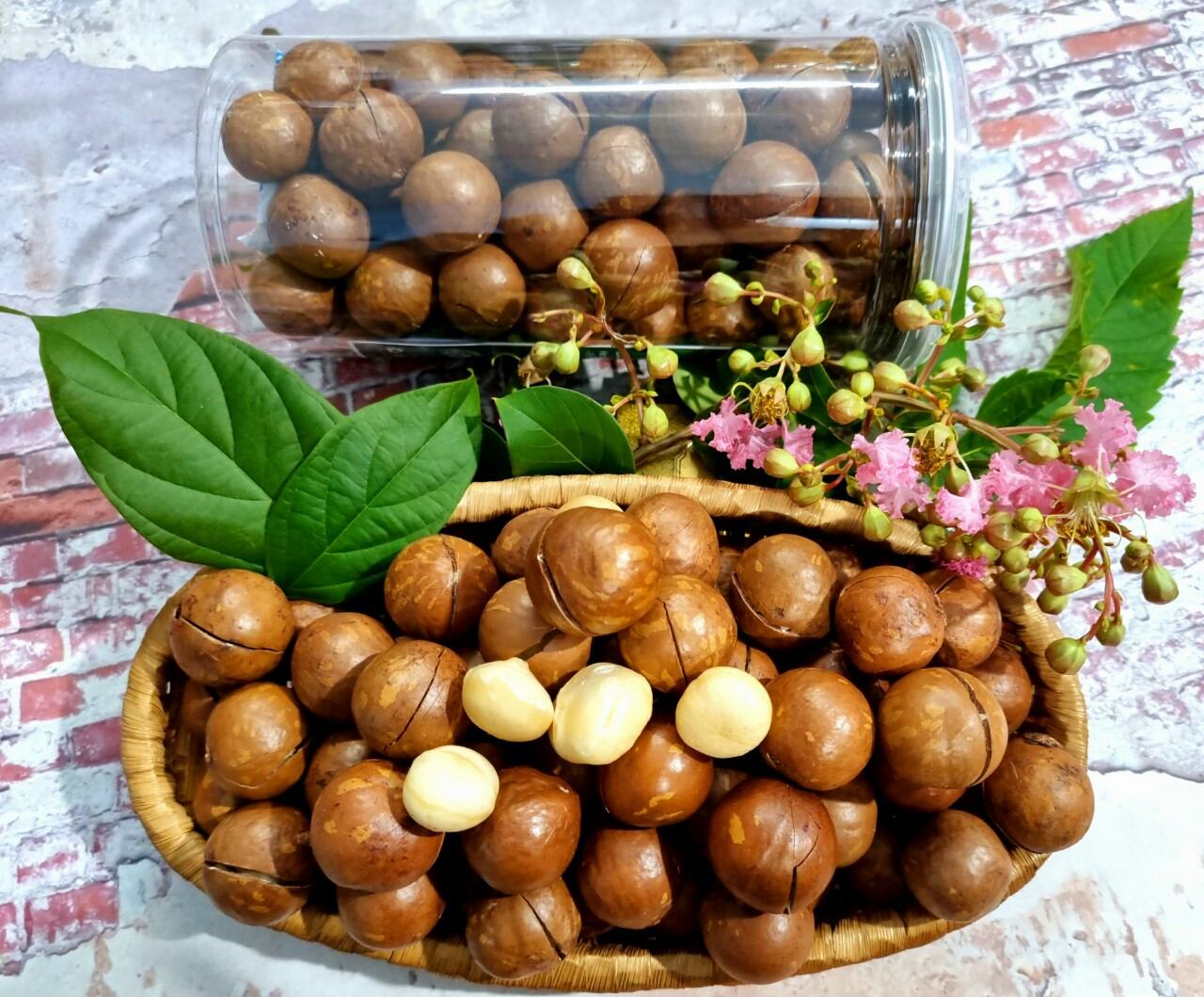 Hạt macca đắk nông hộp 500g