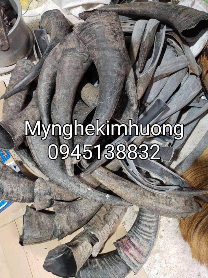 Dao gọt dừa,lấy cơm dừa nguyên trái kiểu Thái Lan