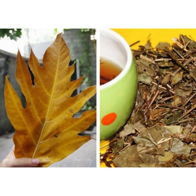 500g lá sake khô rụng tự nhiên