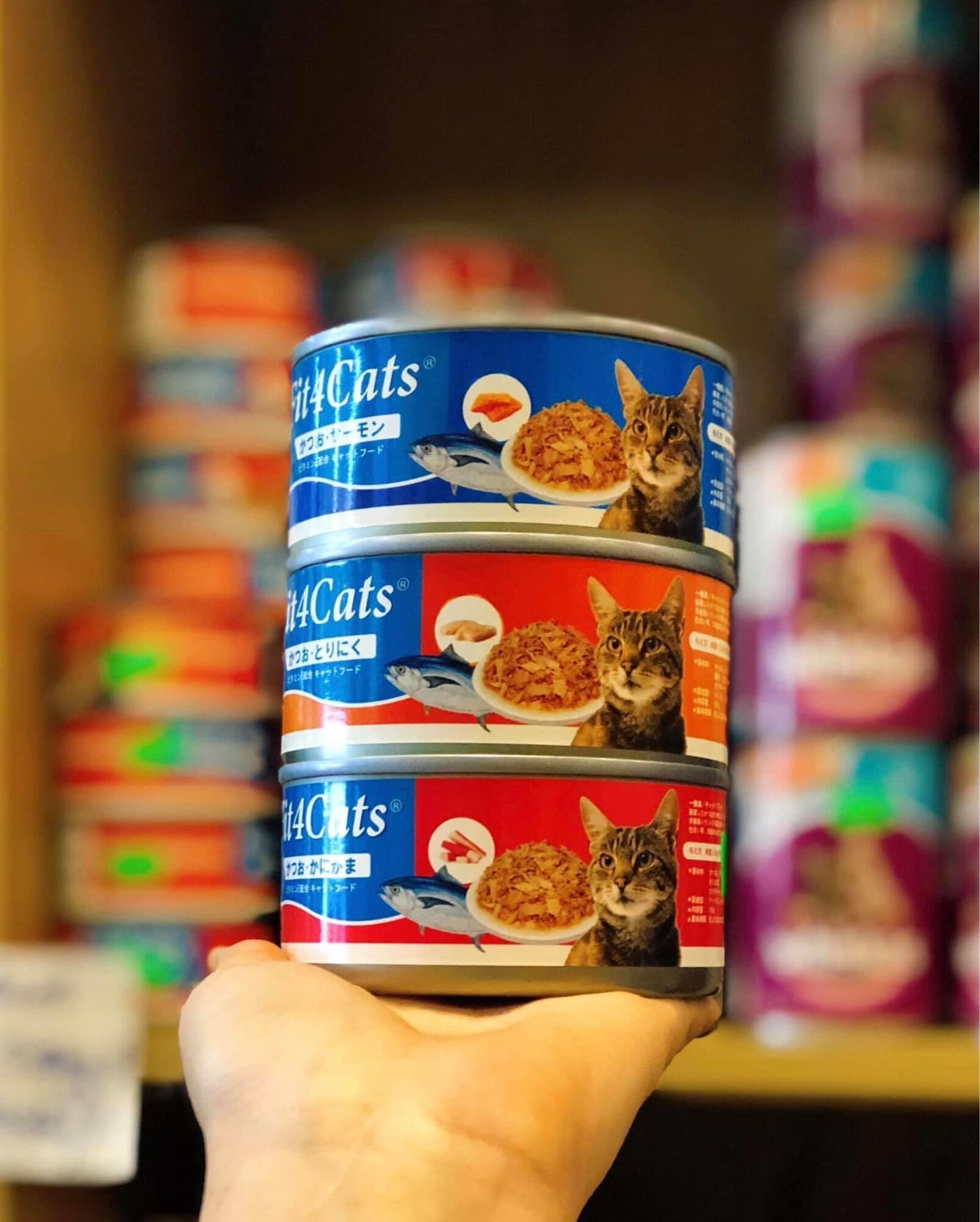 Pate lon Fit4cats cho mèo - hộp 160gr thức ăn cho mèo thumbnail