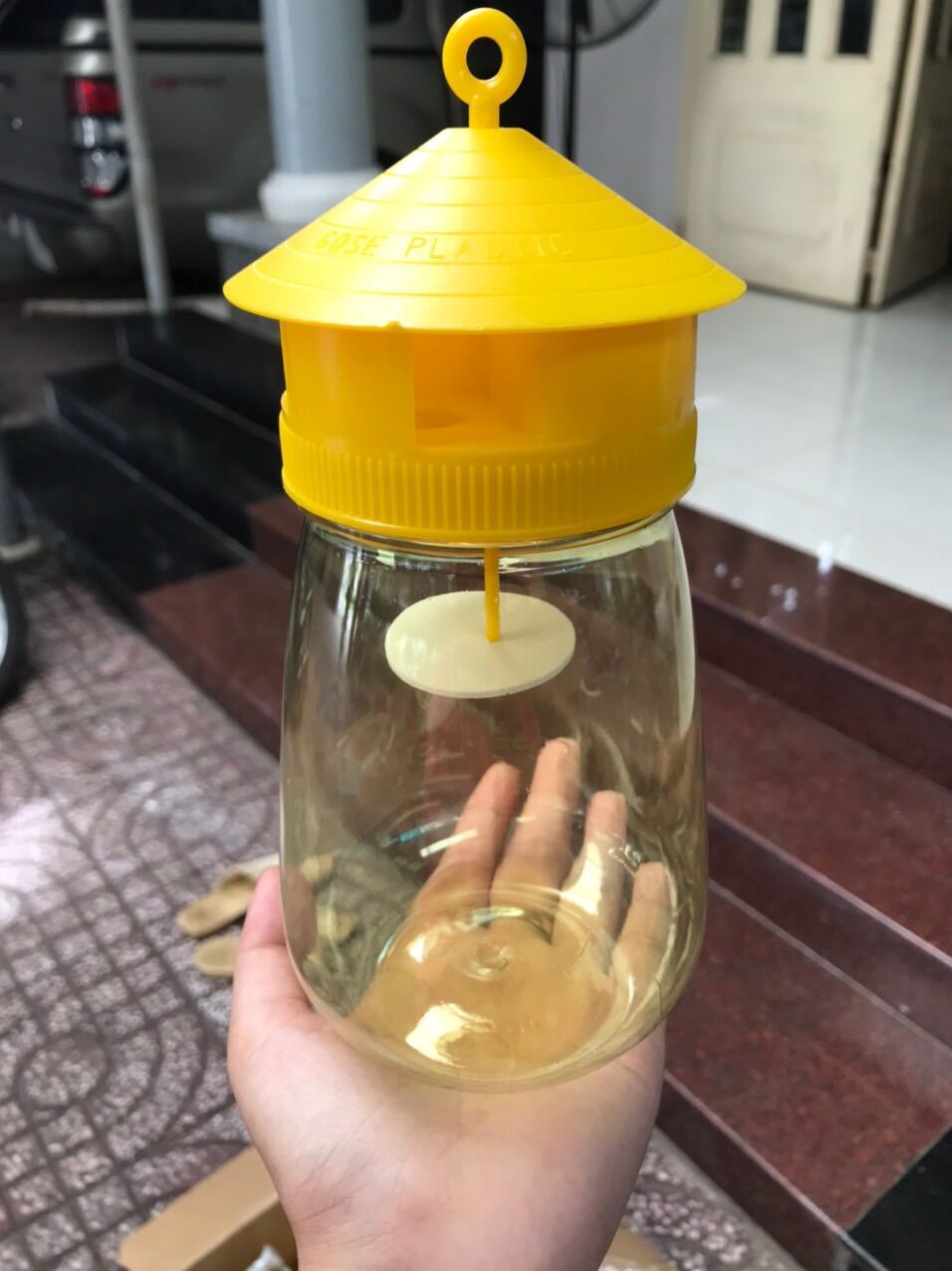 Bẫy ruồi vàng - kèm ống dẫn dụ