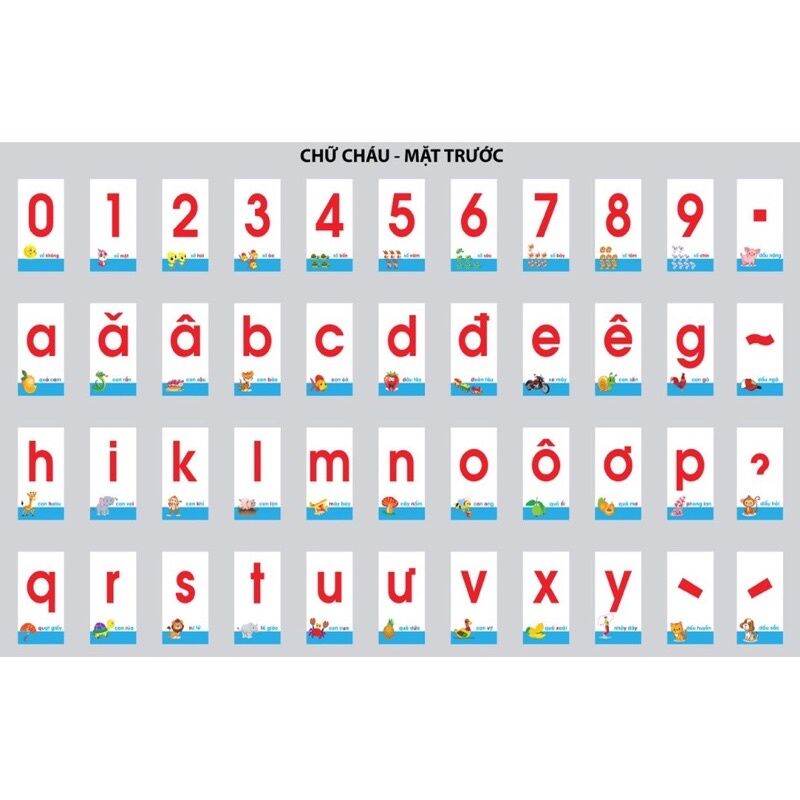 Bộ flash card 44 thẻ học chữ và số