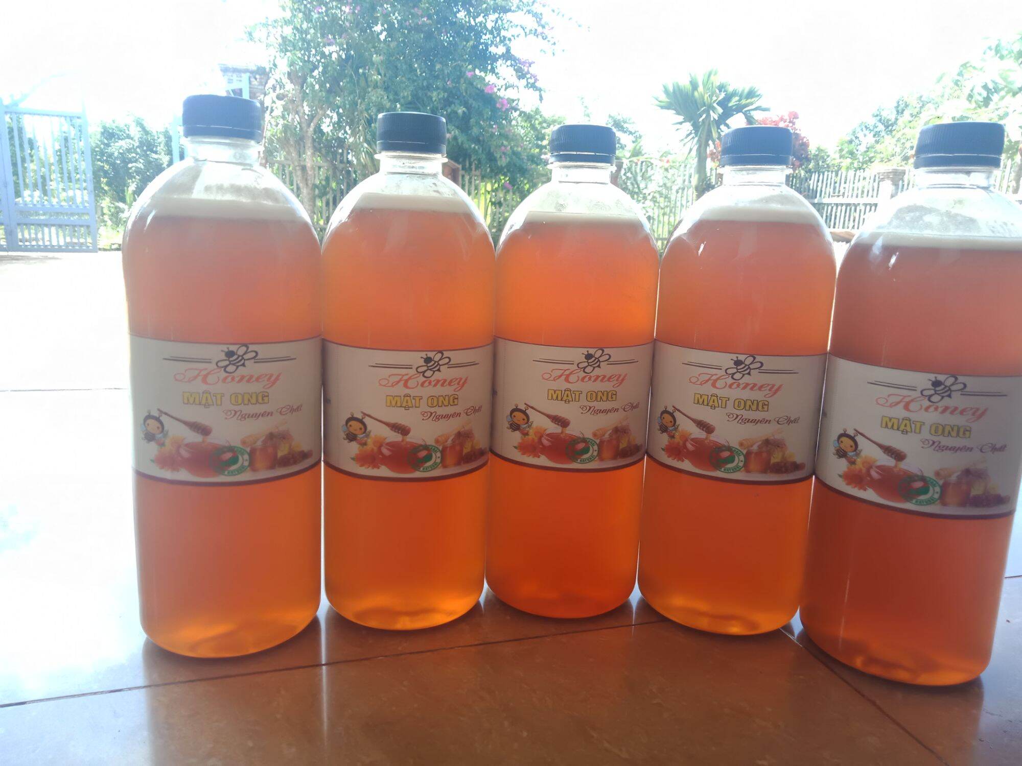 1 LIT MẬT ONG HOA CÀ PHÊ DAKLAK 1.4KG