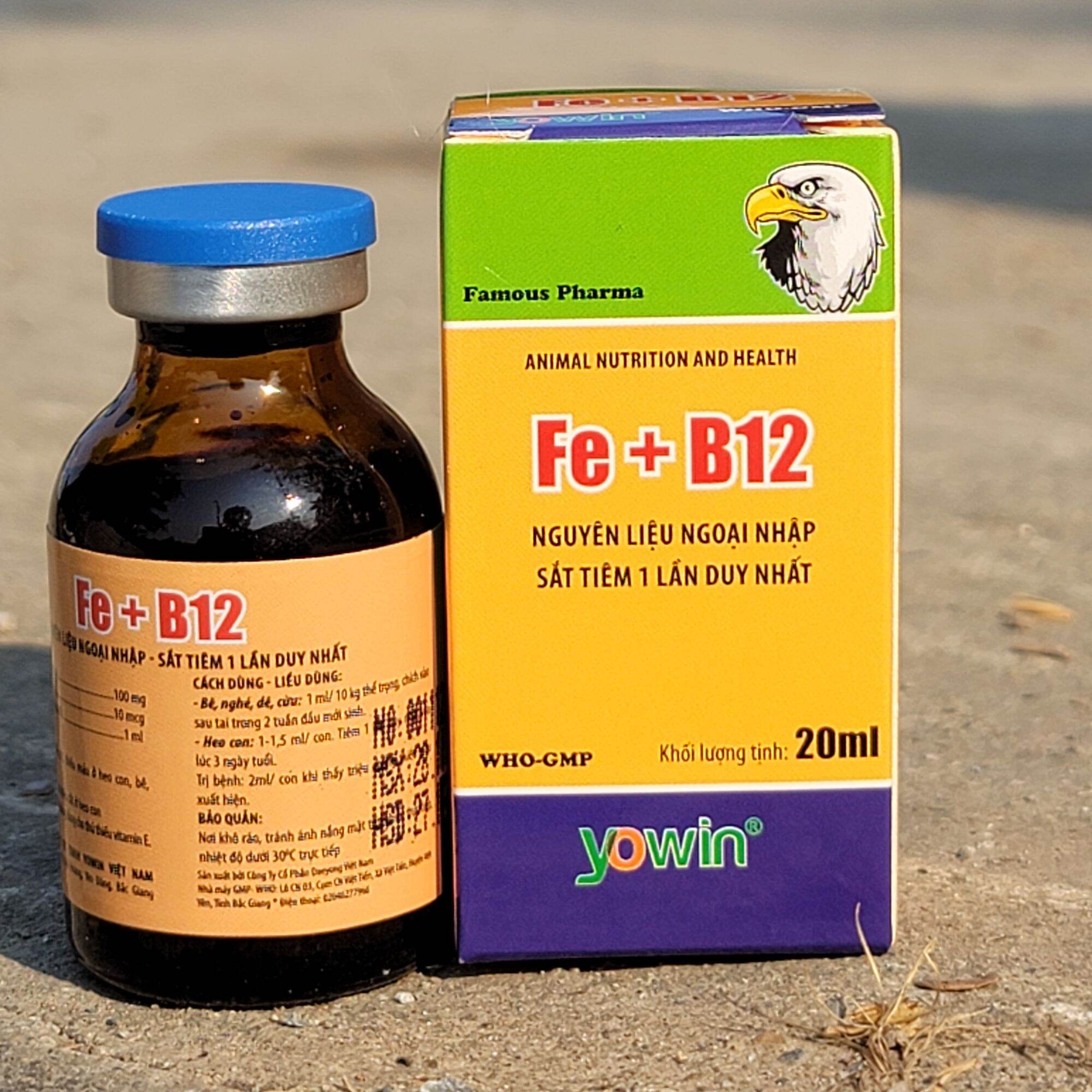 Chai Fe + B12 (20ml ) bổ sung sắt và vitamin b12 dùng tiêm 1 lần cho thú cưng