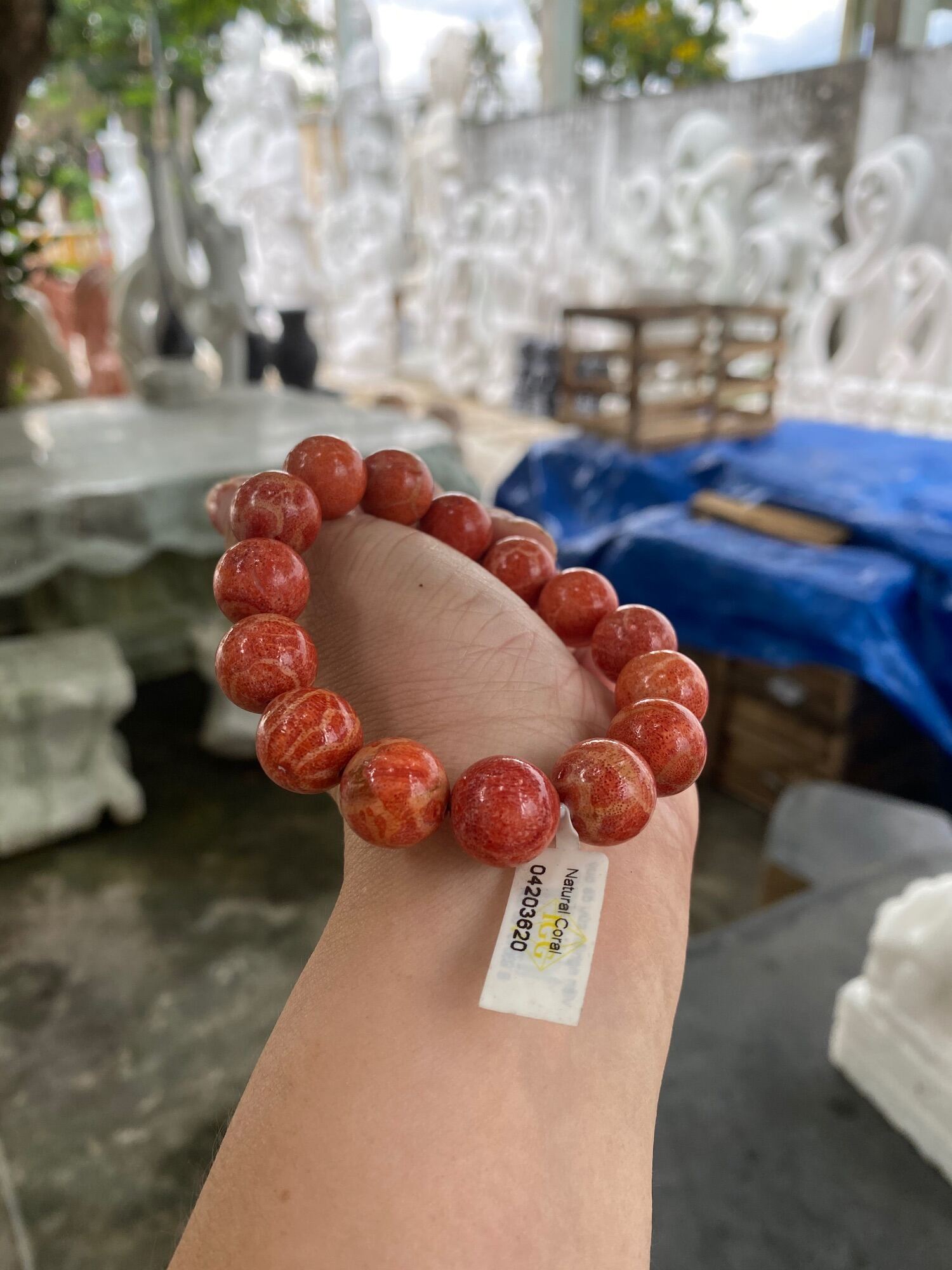 Lắc tay lu thống dạng trúc San hô đỏ tự nhiên