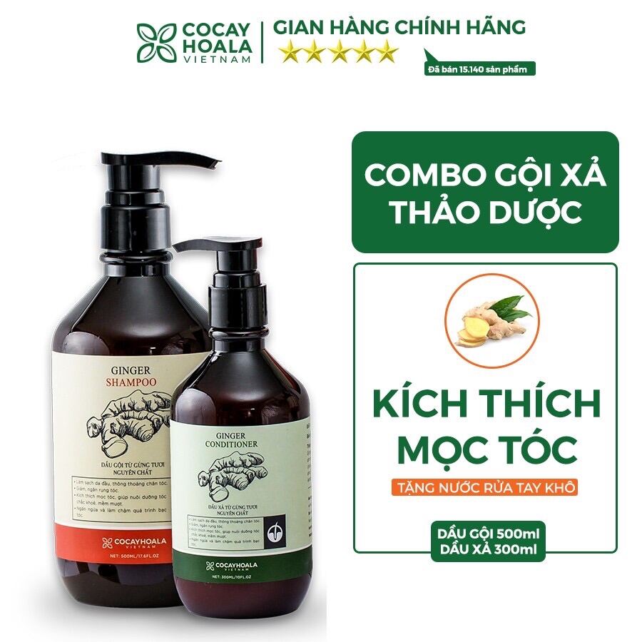 Bộ Dầu Gội Xả Gừng Tươi Cocayhoala Kích Thích Mọc Tóc Dầu Gội 500G + Dầu Xả 300G