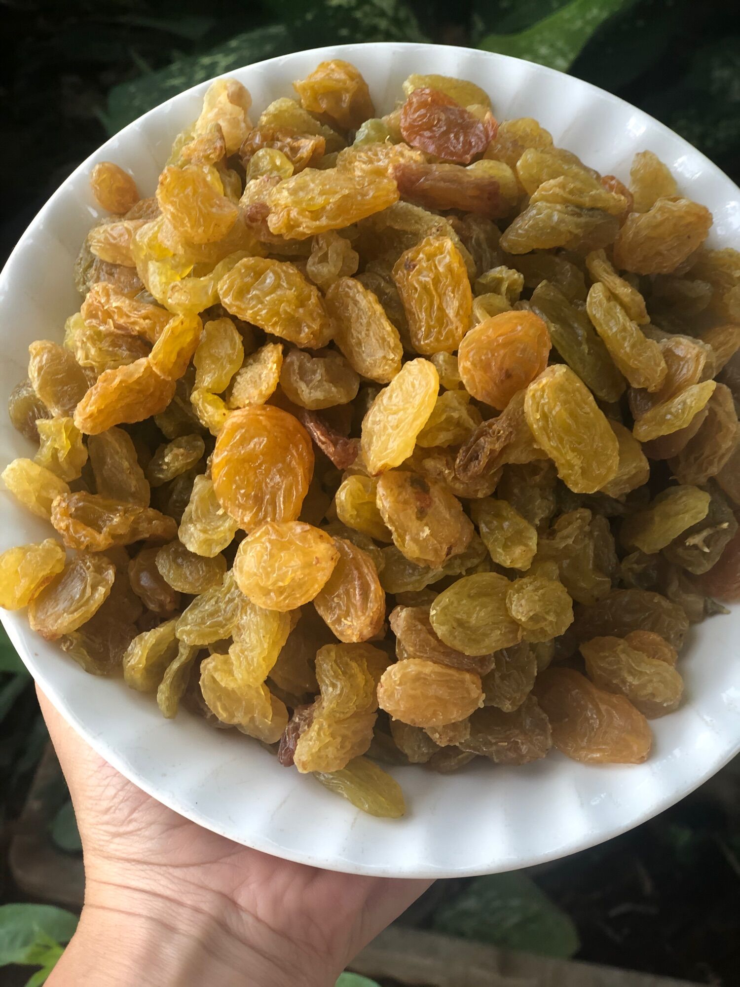 NHO KHÔ SẤY DẺO 200G (LOẠI QUẢ TO)