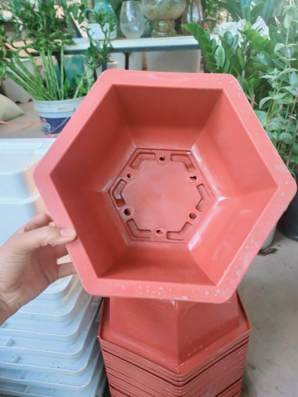 5 chậu lục giác tứ quý bình an trồng cây 280x180 - kt 25x14