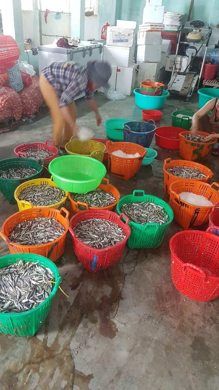 Mắn nhĩ cá cơm- Đặc sản Ninh Thuận