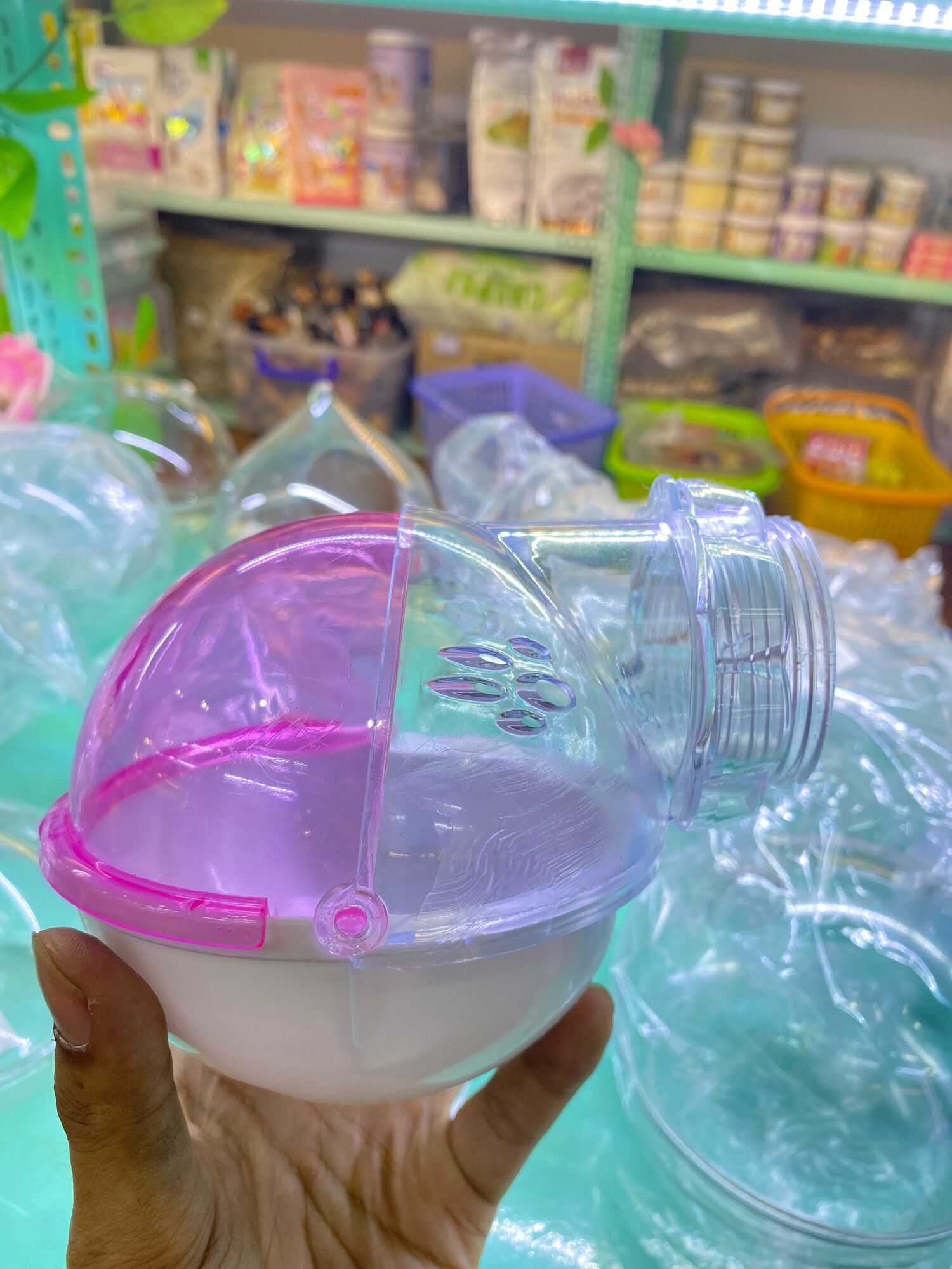 Nhà tắm Cầu cho Hamster