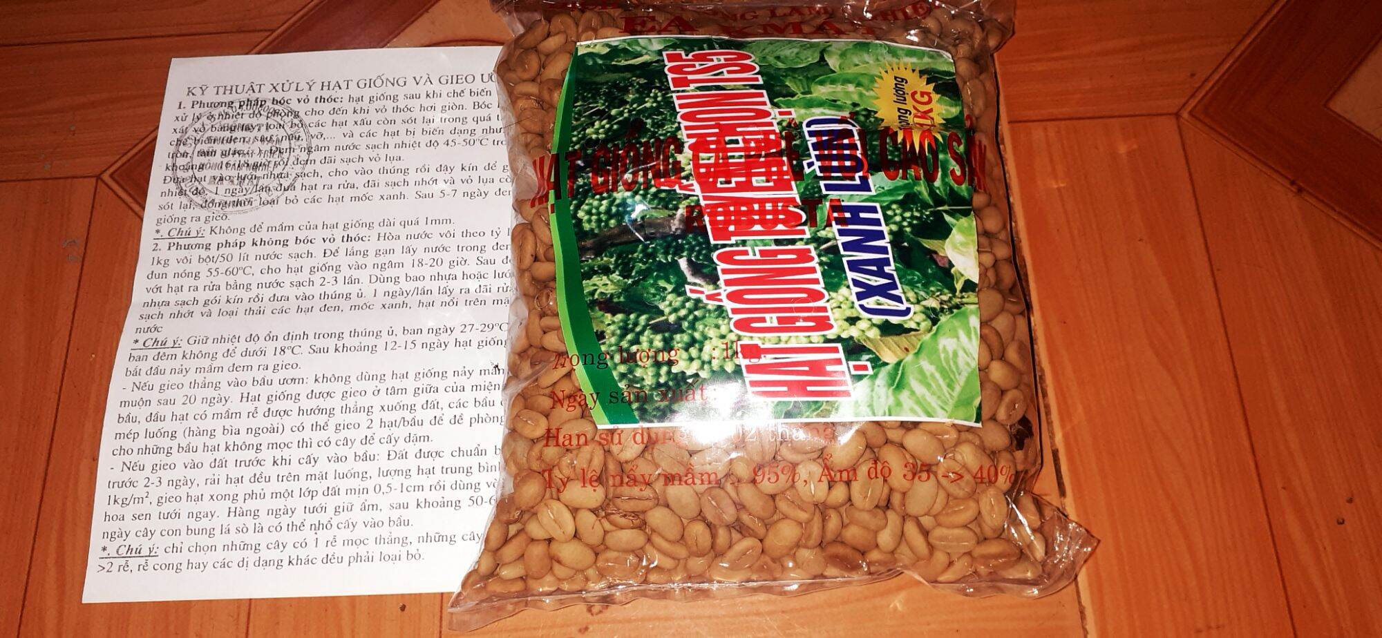 500gram hạt giống cà phê xanh lùn