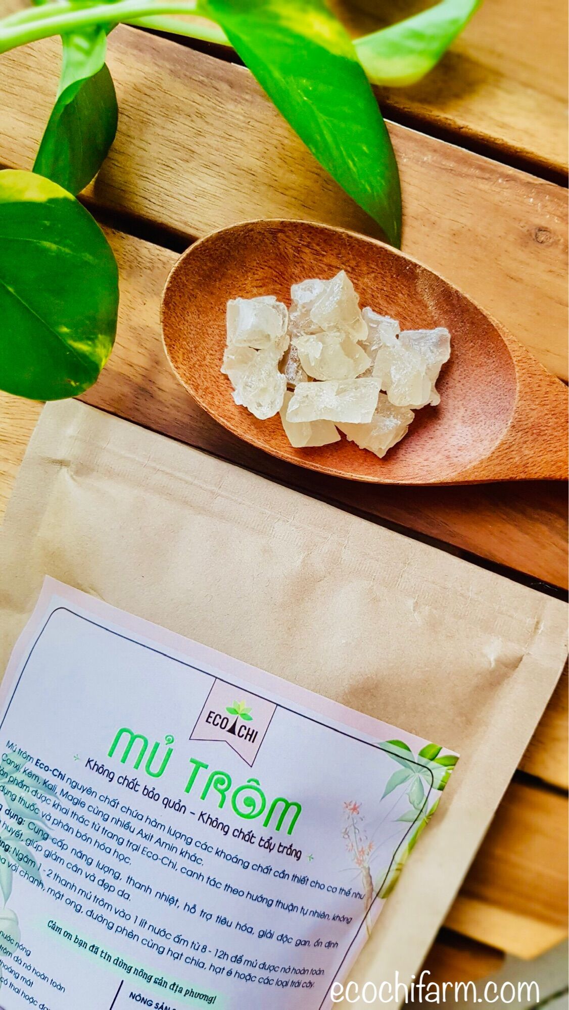 Combo 3 túi mủ trôm sạch nguyên chất Ecochi (350g x 3)