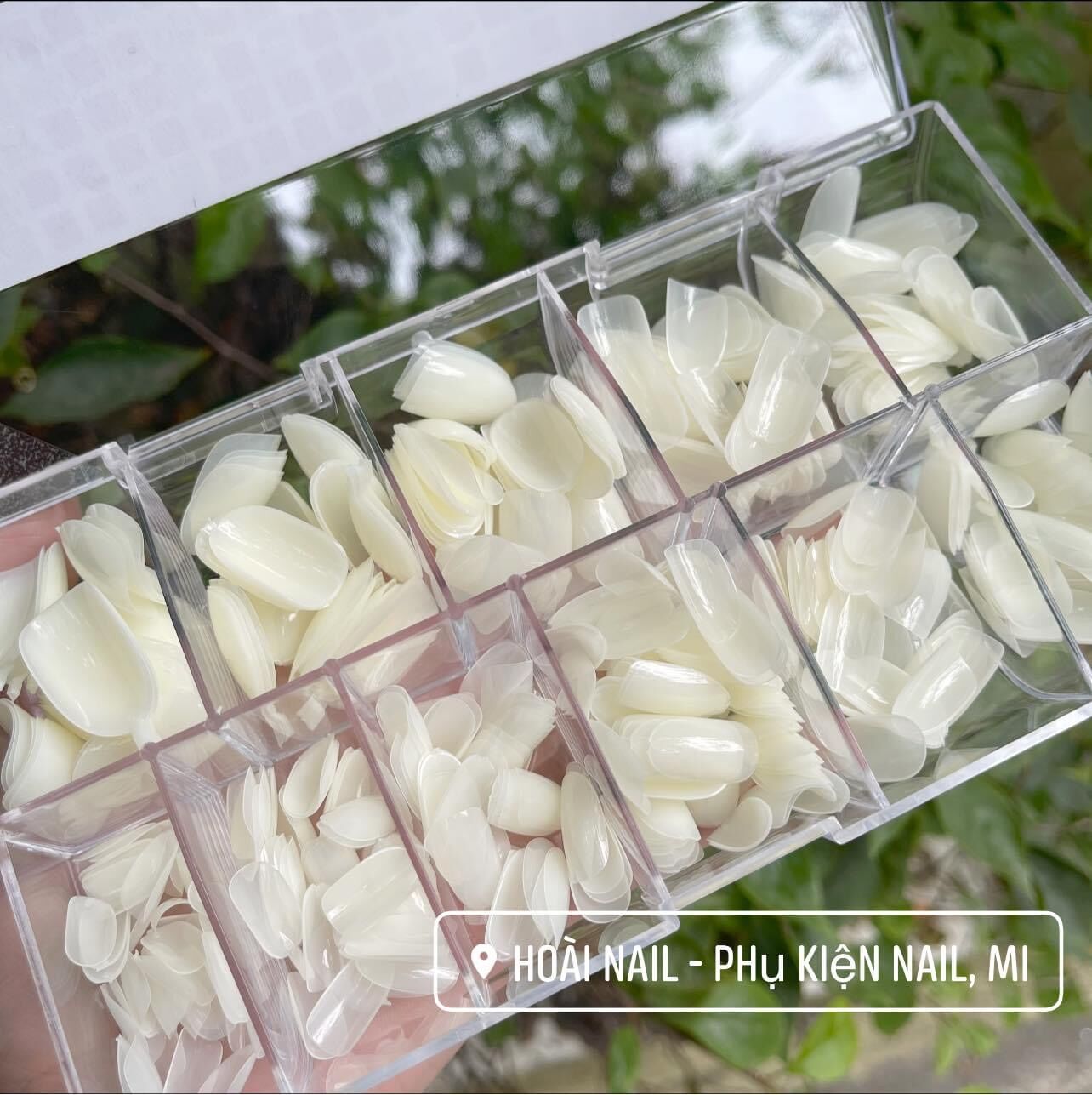 Móng úp hạt na ( hộp 500m)