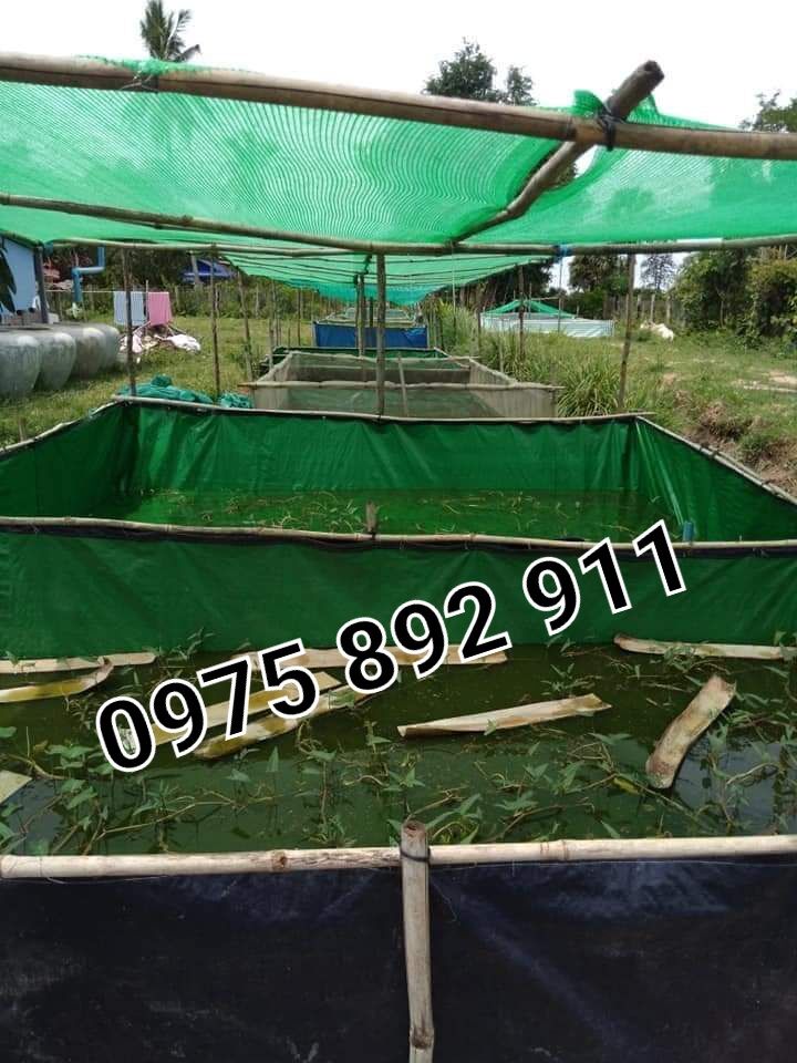 Bể bạt nuôi ốc ếch cá lươn chạch 4x2x0,8 xanh bộ đội