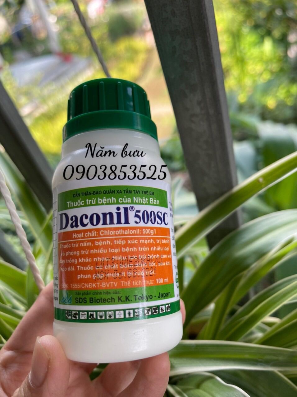 Thuốc trừ bệnh Daconil 500SC -100ml (Chlorothalonil 500g l) - Trừ nhiều loại nấm bệnh trên nhiều loại cây trồng