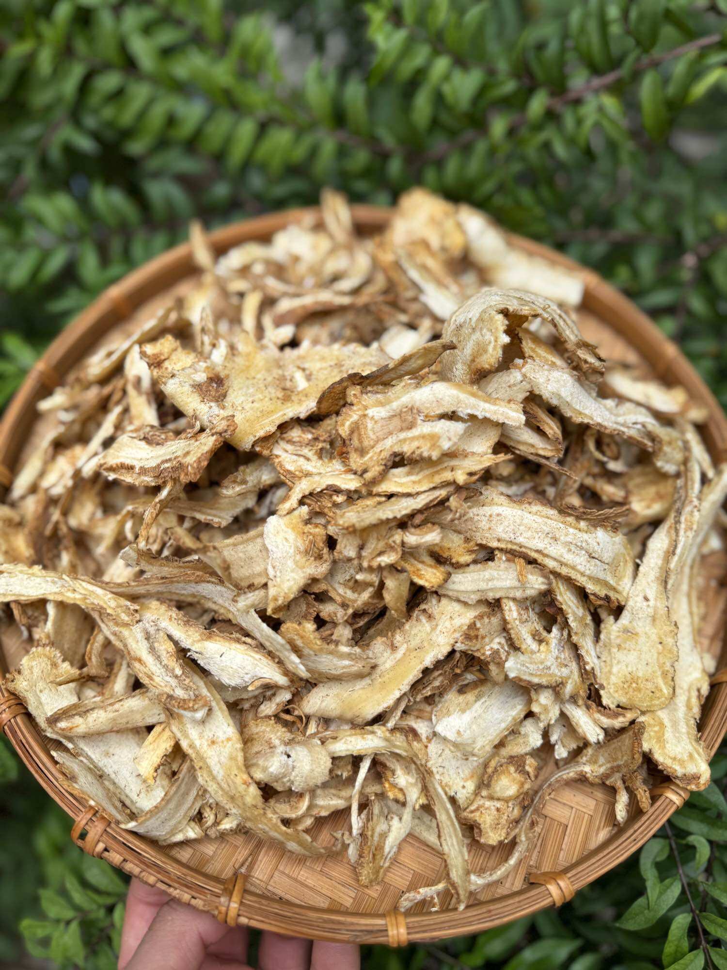 [HCM]Đương quy hàng khô thái lát 1kg