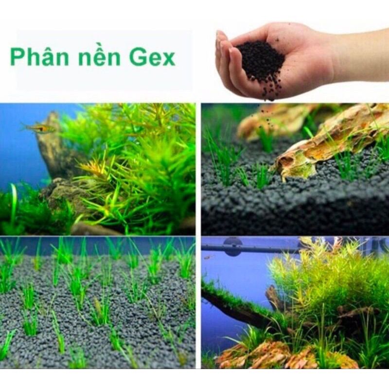 Phân nền Gex xanh | phân nền thuỷ sinh
