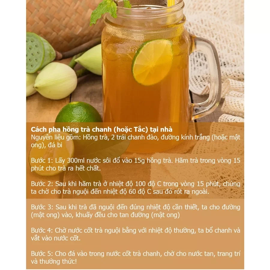 Trà Nuôi Scoby  Làm Trà Kombucha 10g