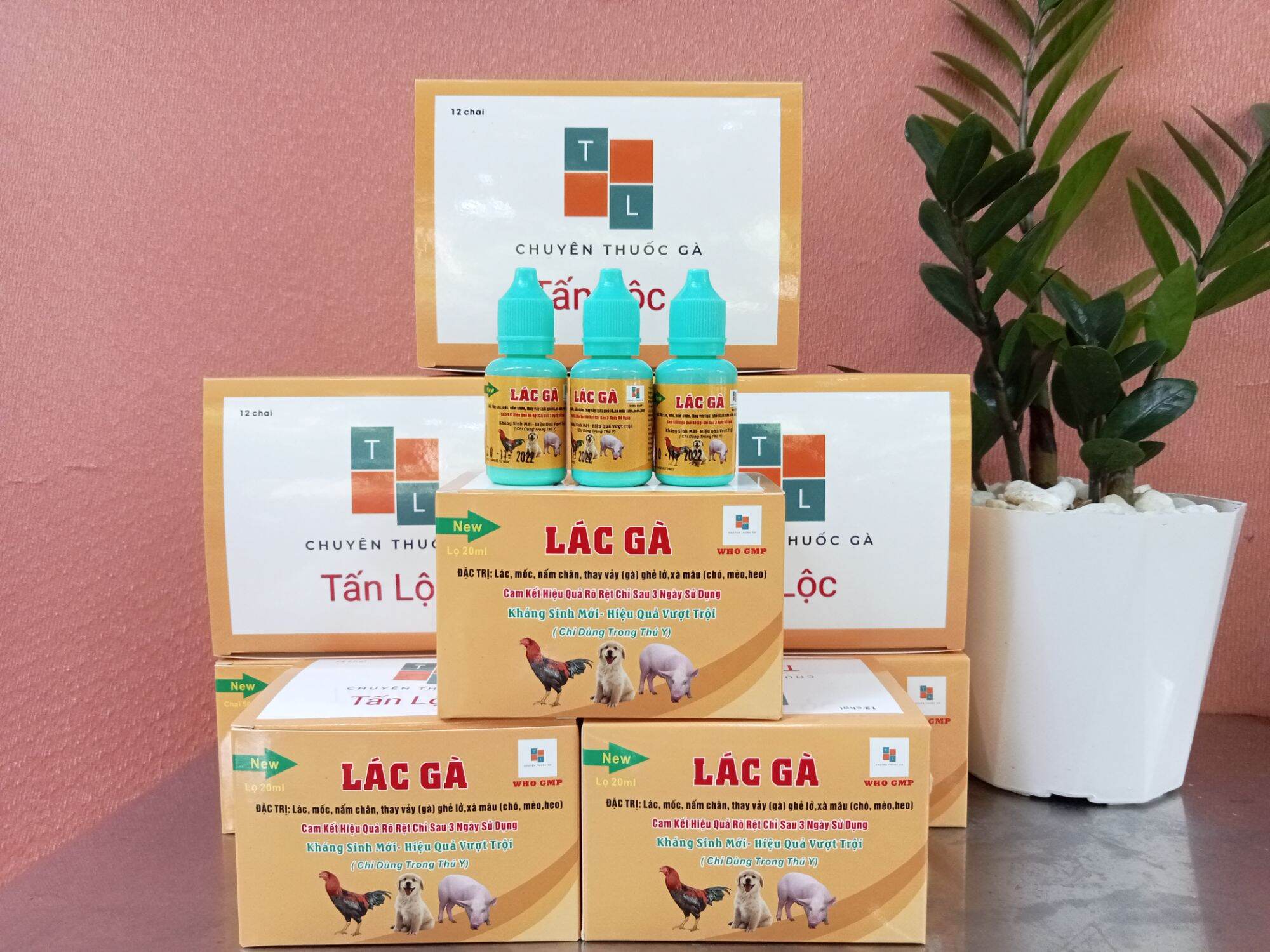 thuốc bôi đặc trị mốc lác gà chọi