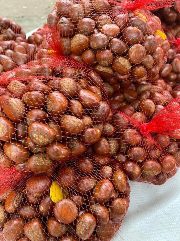1KG HẠT DẺ RANG MUỐI LOẠI 1