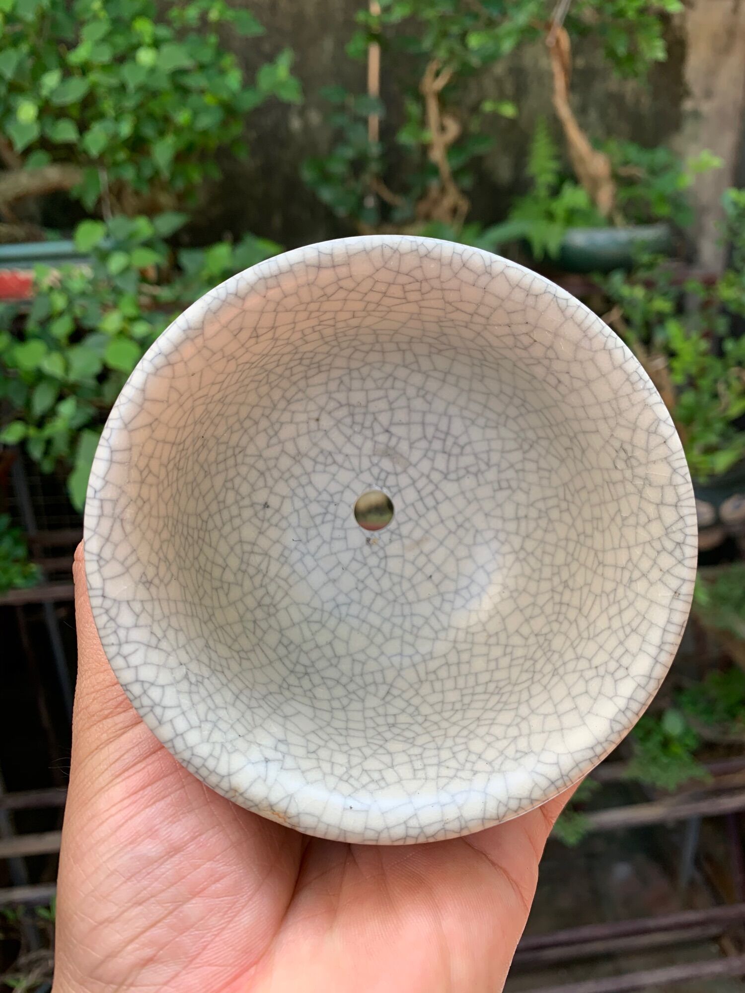 Chậu trồng cây bonsai mini
