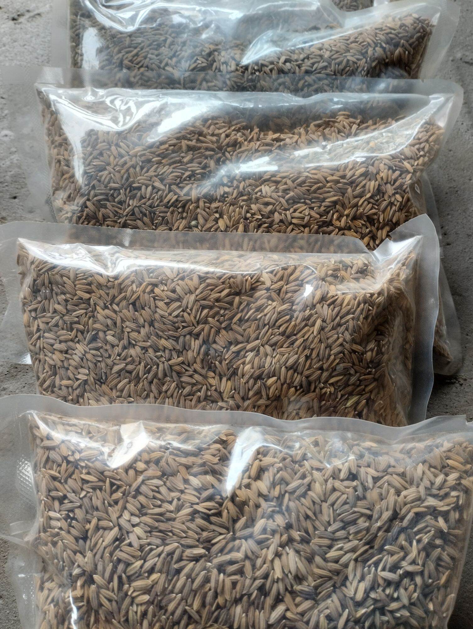 Giống lúa, giống thóc nếp cẩm (1kg)