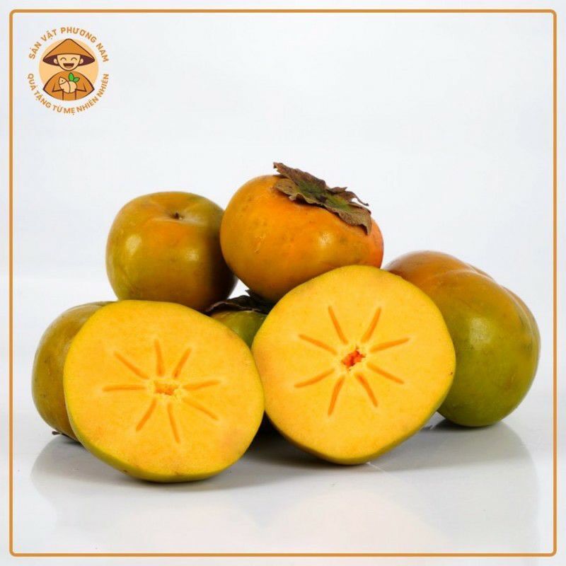 Cây giống Hồng không hạt