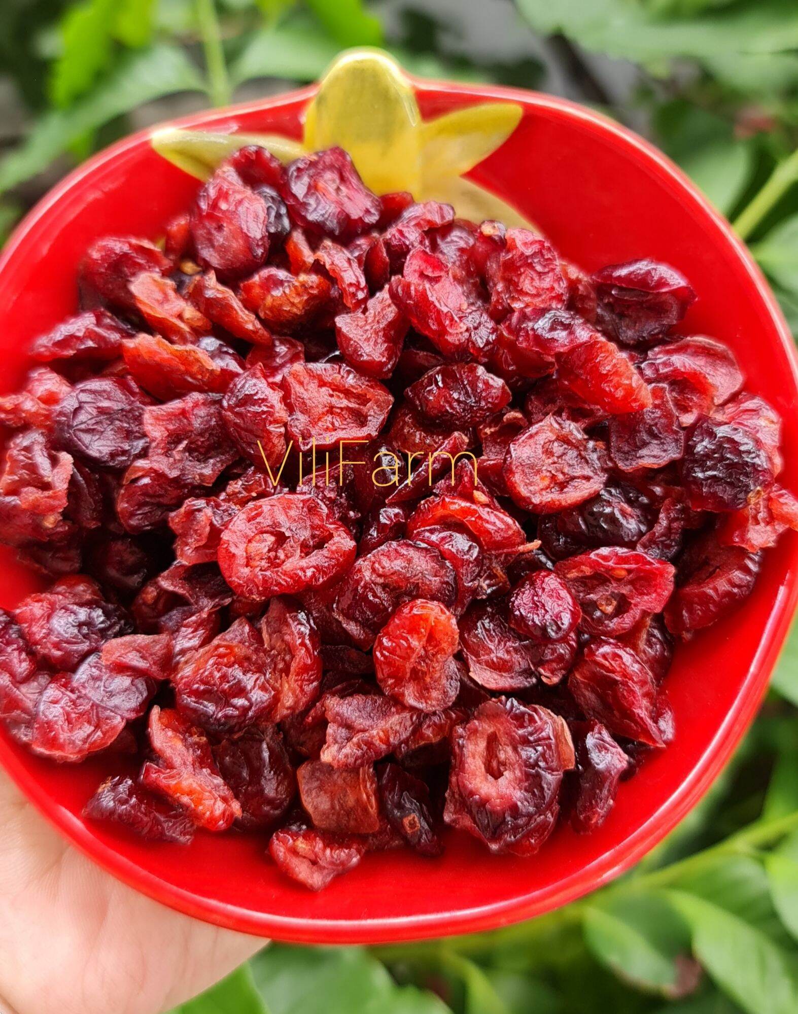 Nam việt quất sấy lạnh