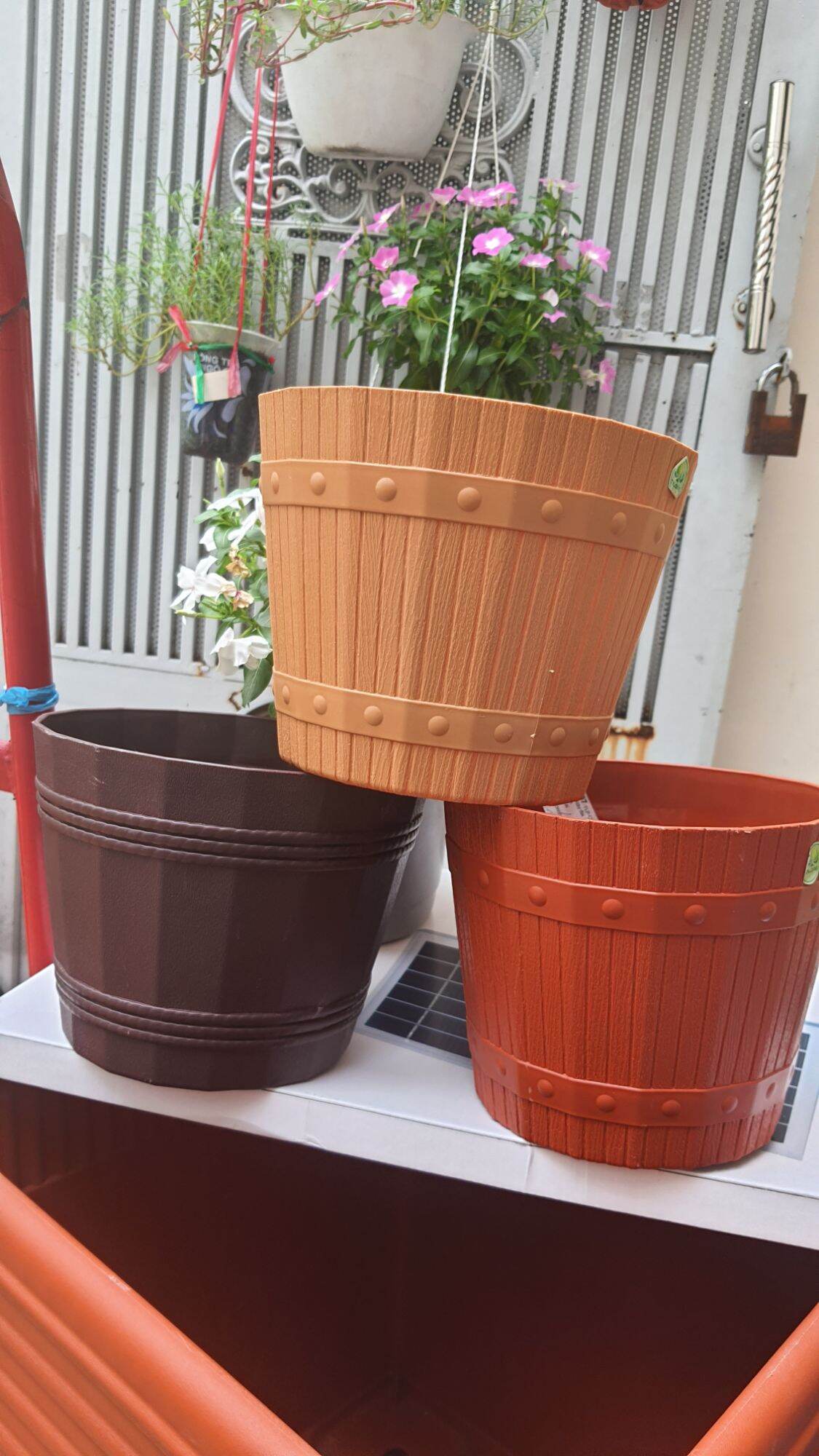 combo 5 chậu nhựa kiểu thùng gỗ đk 21cm