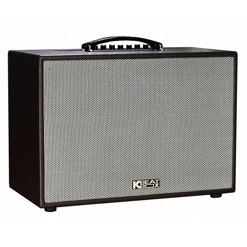 Loa kéo di động sơn ca cs 250 pu