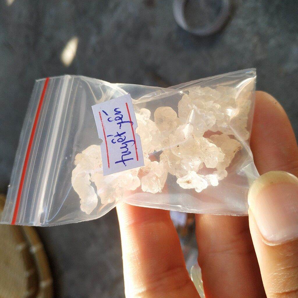 100gr túi zip đỏ các size