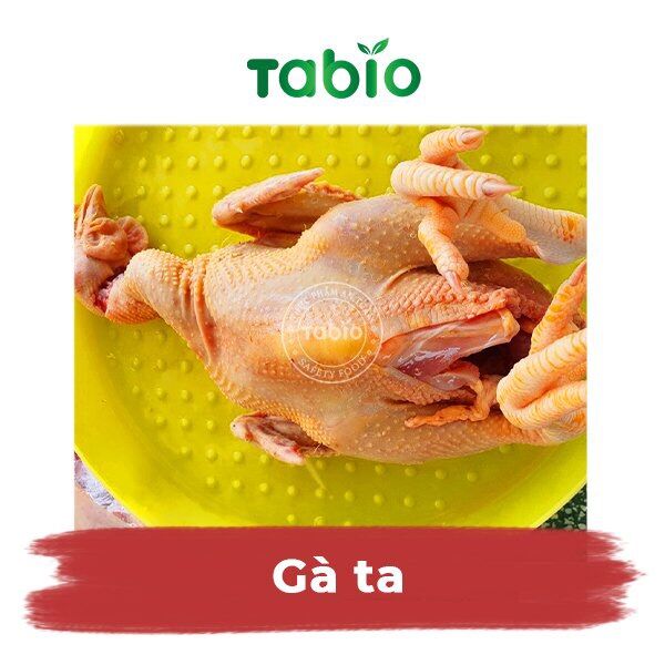 HCM - Gà ta 1,2kg - 1,3kg - TABIO