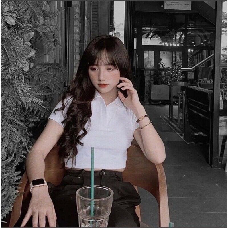 Áo croptop polo đủ màu