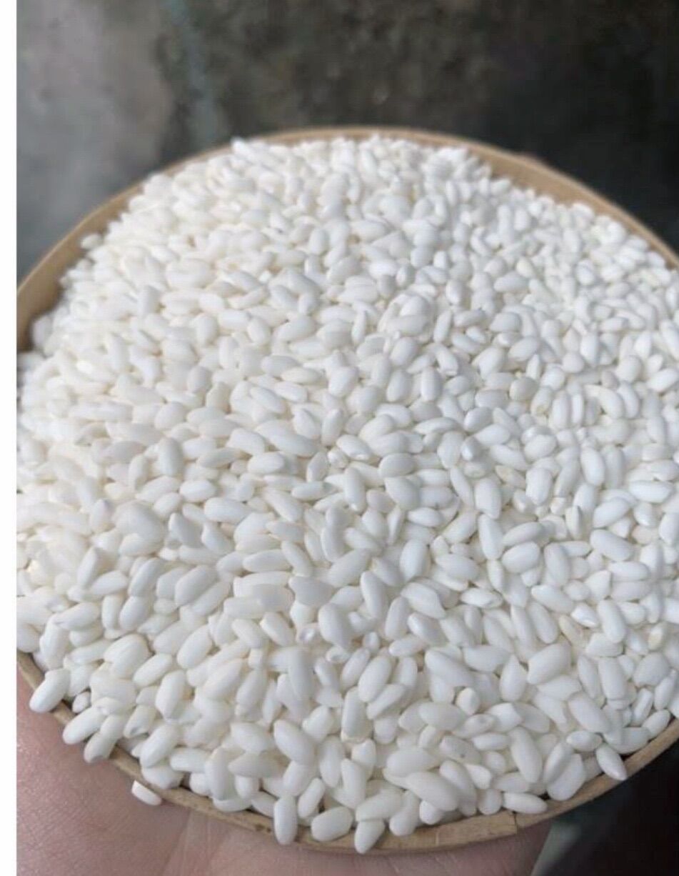 NẾP BẮC ĐỒI (HẠT TO- DẺO) (1KG)