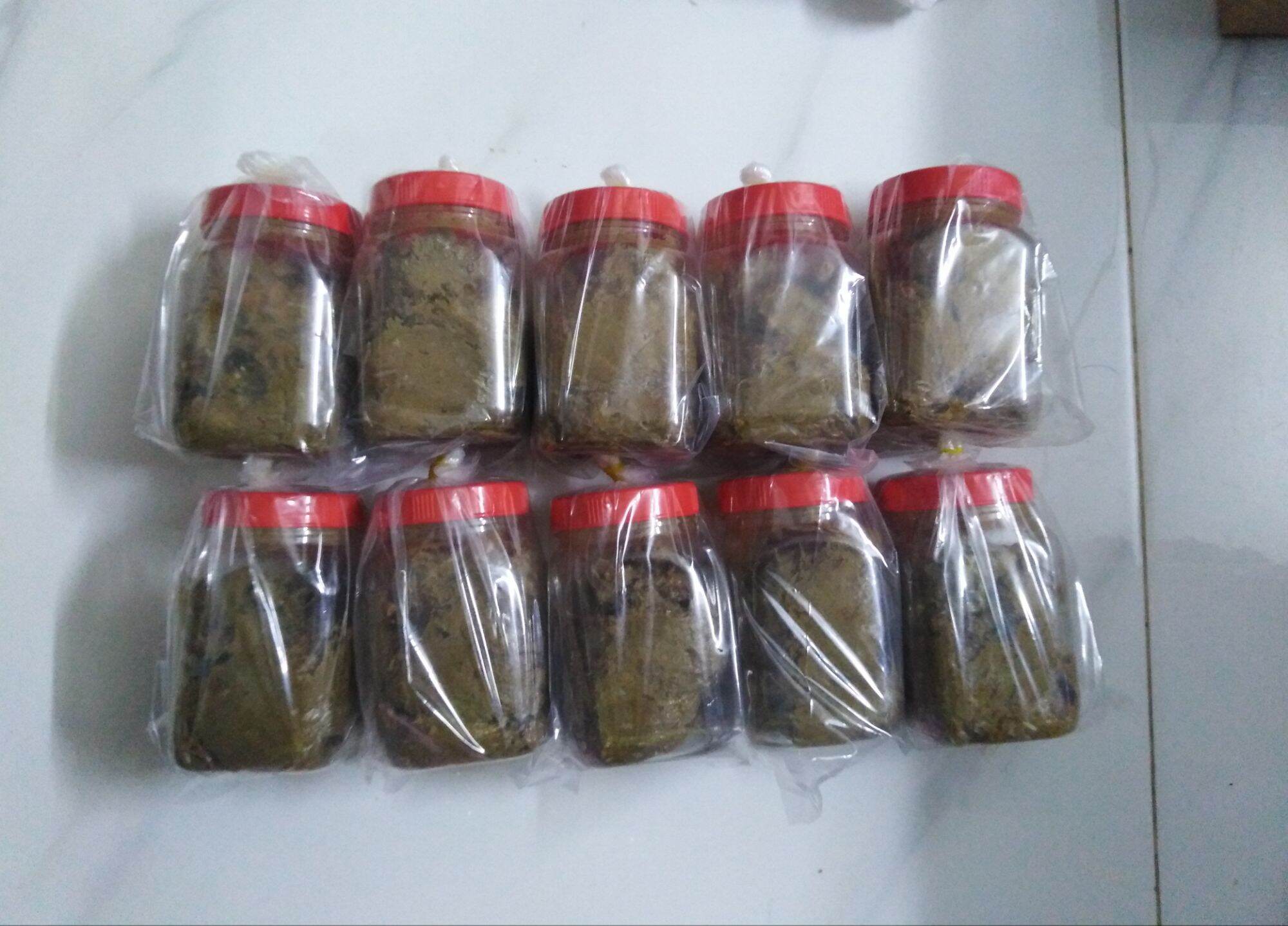 Sỉ 10 hủ mồi câu cá lăng siêu nhạy