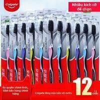 Colgate | Đàn Chải Răng Chăm Sóc Nướu Lông Mềm Than Tre 12 Cái