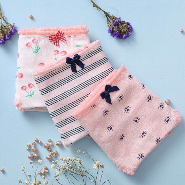 Combo 5 Quần Lót Cotton Cute Kháng Khuẩn MI866