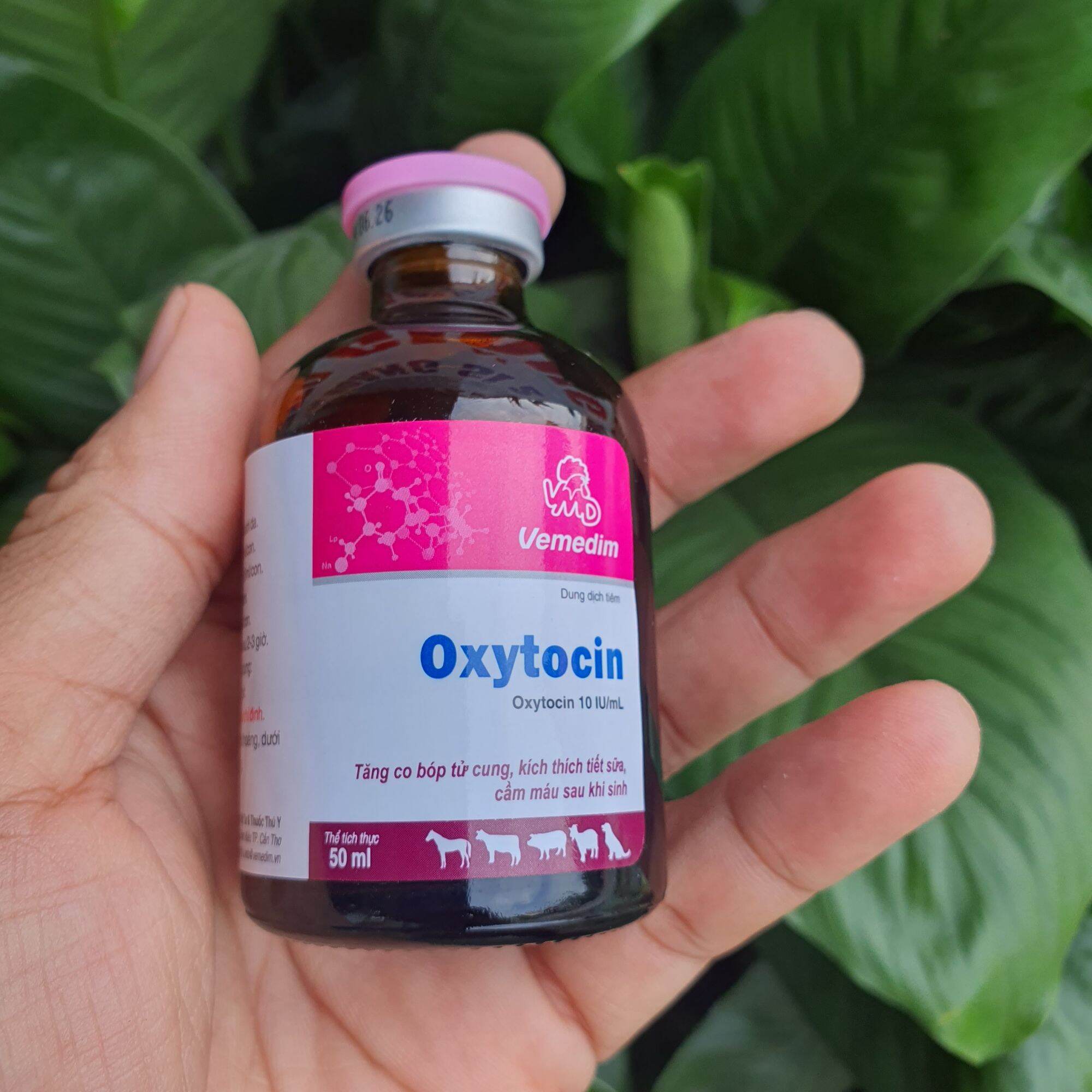 Oxytocin chai 50ml hỗ trợ vật nuôi thúc đẻ nhanh tăng tiết sữa tống sản dịch dùng trong thú y