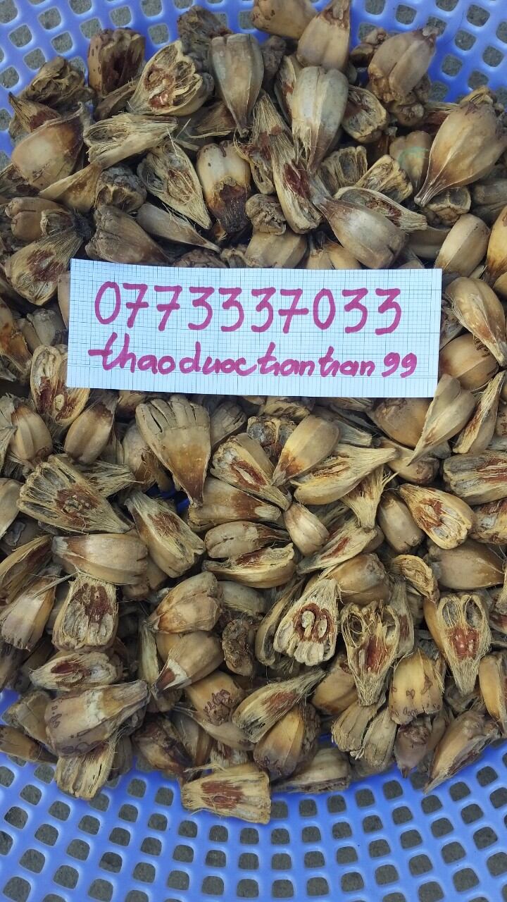 trái dứa gai - dứa dại phơi khô 1kg