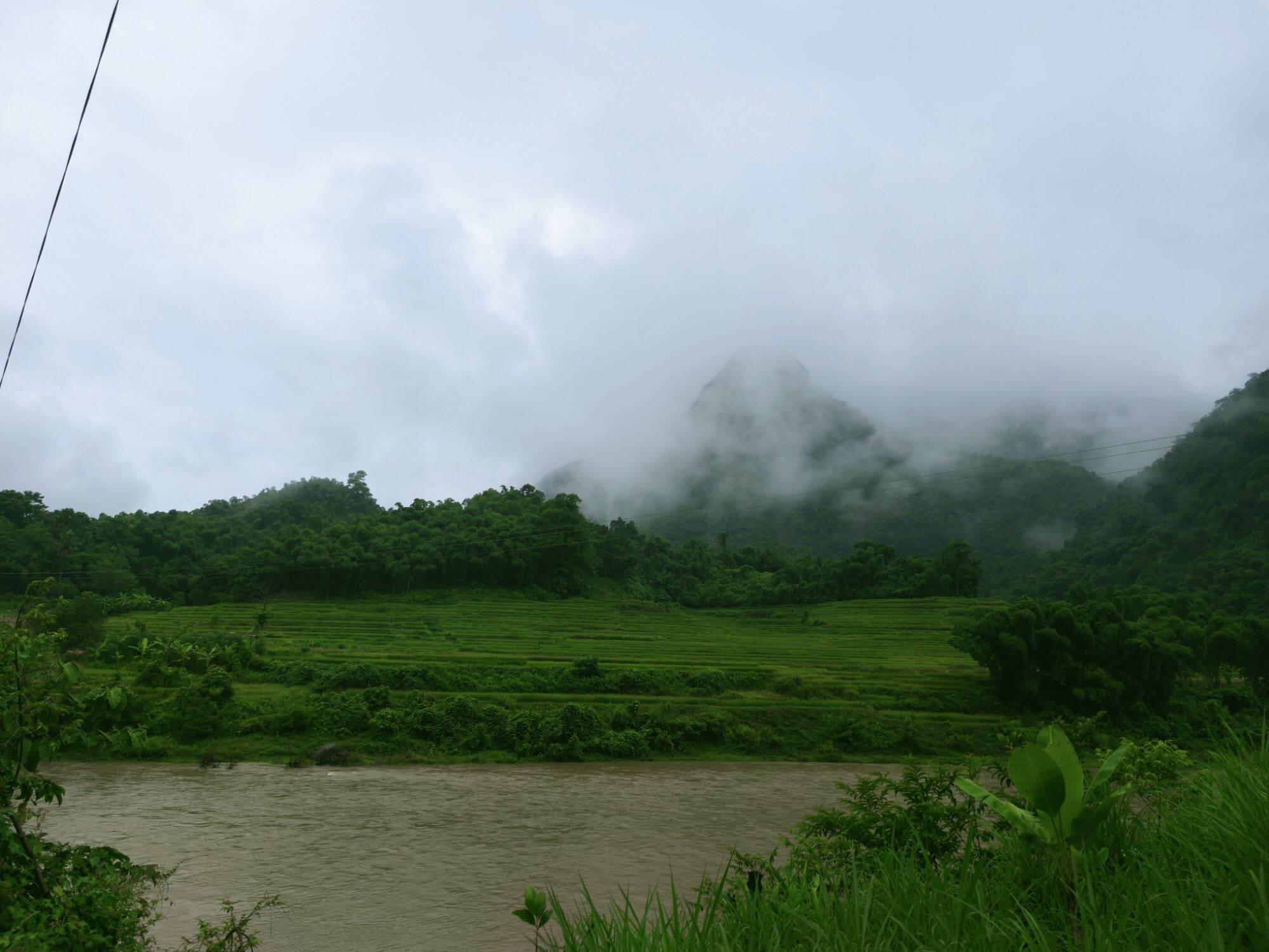 lũa ngọc am đỏ hà giang, mùi thơm dịu nhẹ