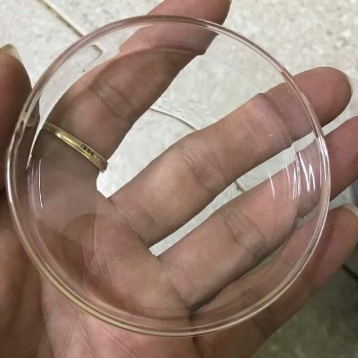 [HCM][TÉP CẢNH] Chén thuỷ tinh đựng thức ăn tép  chén cho tép ăn
